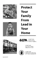 Lead In Your Home